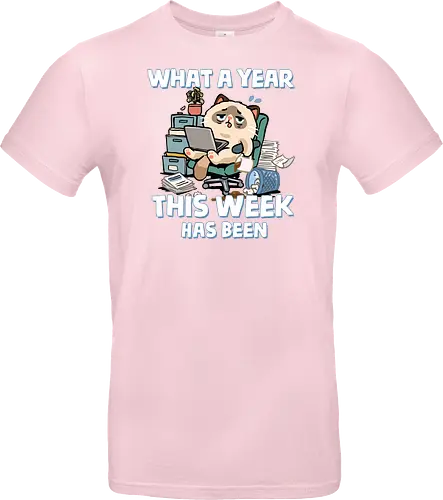 What A Year This Week Has Been - student life, teacher life, tired, weekend, what a year, work humor, cat, back to school, burnout, coffee, exhausted, friday, meme, monday, office humor - Standard T-Shirt