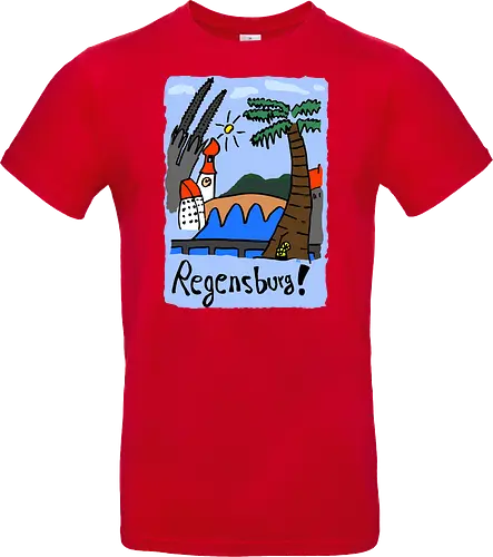 Regensburg - Regensburg, Stadt, Donau - Standard T-Shirt