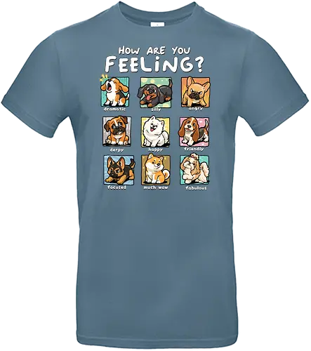 How Are You Feeling - dramatic, emotion, fabulous, feelings, focused, friendly, happy, how are you feeling, mood, silly, dogs, angry, derpy, dog, dog lover - Standard T-Shirt