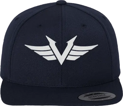 Vektik - Logo Cap - youtube, youtuber, merchandise, twitch, cod, call of duty, strmer - Snapback