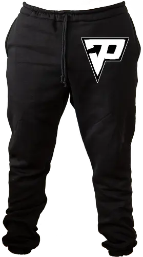 Pain - Destroyed Logo