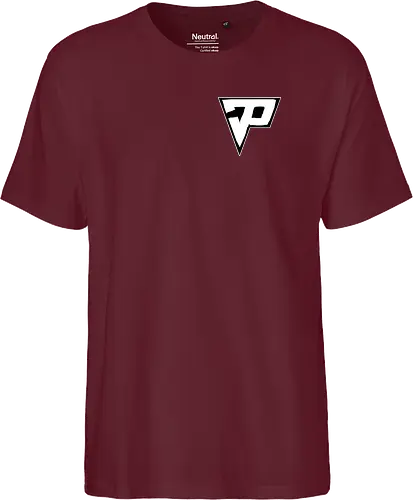 Pain - Destroyed Logo