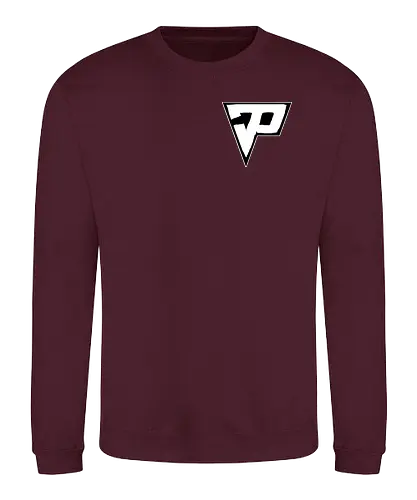 Pain - Destroyed Logo - youtube, youtuber, merchandise, twitch, cod, call of duty, strmer - Sweatshirt