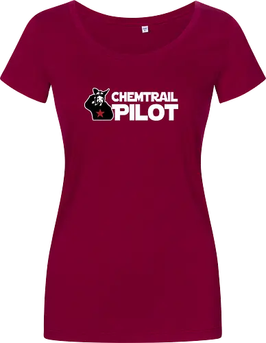 Asoziales Netzwerk - Chemtrail Pilot