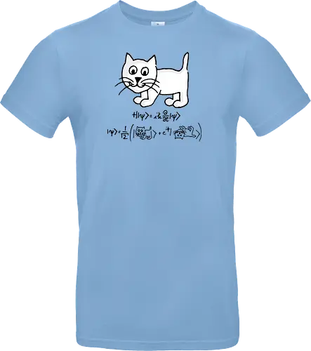 Schrödingers Katze