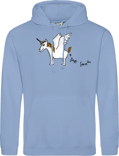The Flying Unicorn Equation - Quantum Tomato, Florian Aigner, einhorn, mathe, physik, Gleichung - Standard Hoodie