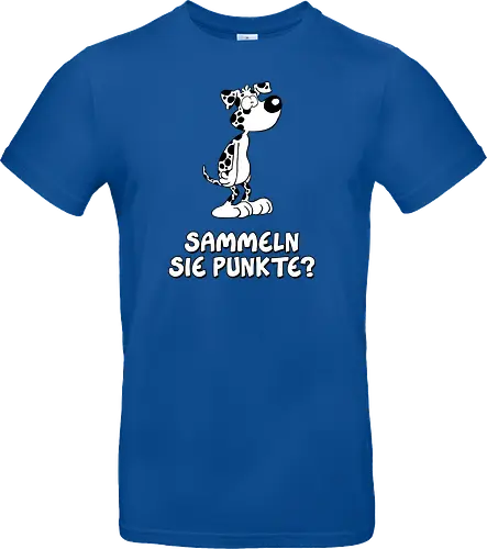 Ruthe - Punkte