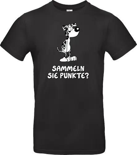 Ruthe - Punkte