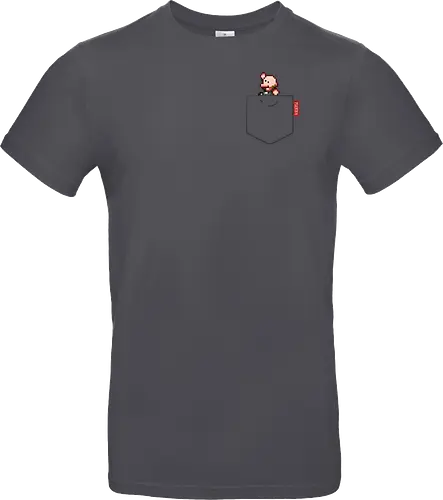 Plebsen (pocket)