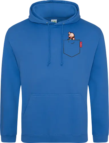 Plebsen (pocket)