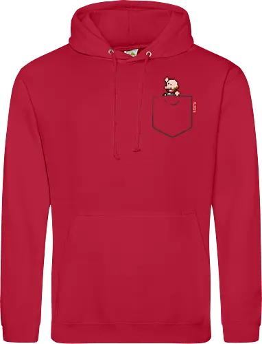 Plebsen (pocket)