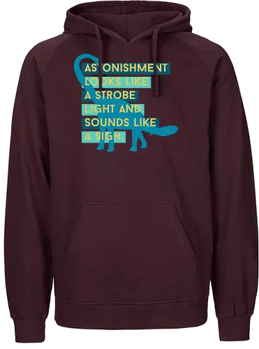 Astonishment looks like a strobe - Fairtrade Hoodie