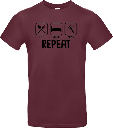 t Sleep Mine Rept
