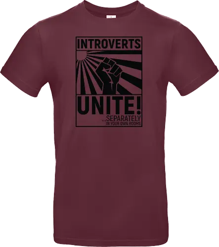 Introverts Unite