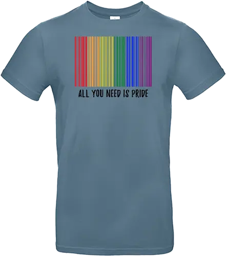 All you need is Pride - Standard T-Shirt