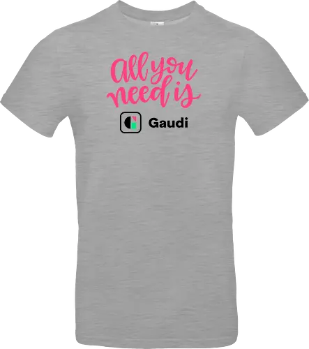 All you need is Gaudi