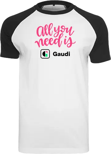 All you need is Gaudi