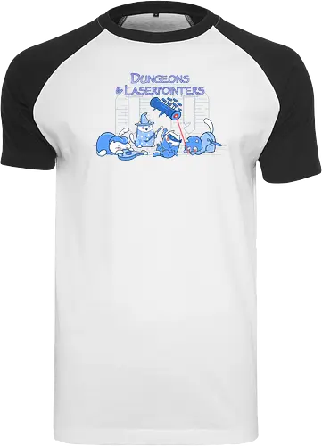 Dungeons and Laserpointers