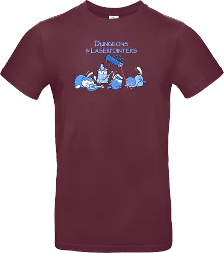 Dungeons and Laserpointers