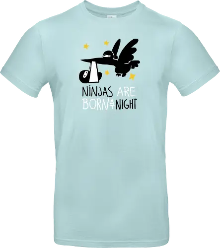 ninjas are born at night