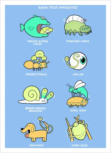 Know your Parasite