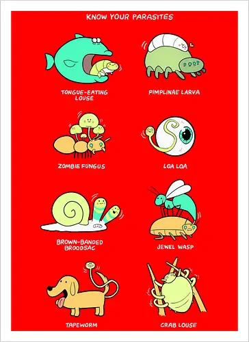 Know your Parasite