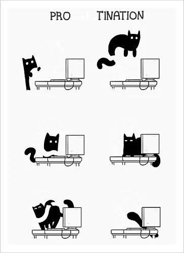 ProCATStination