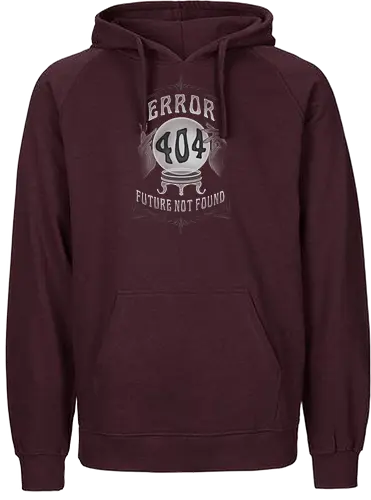 Future Not Found - Witchcraftraft, 404, error, SEO, Glaskugel - Fairtrade Hoodie