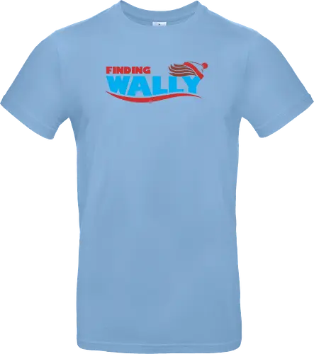 Finding Wally