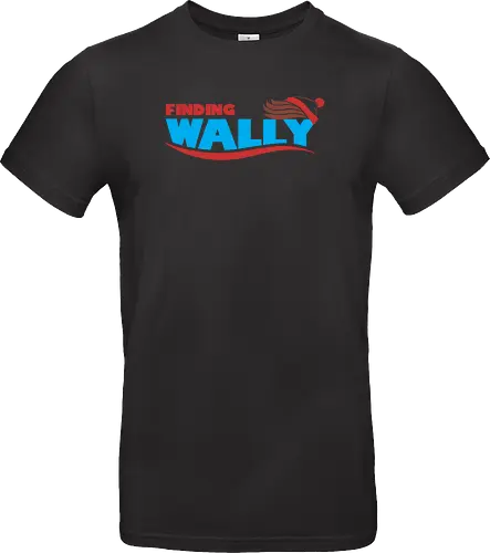 Finding Wally