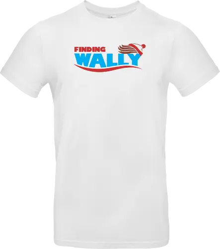 Finding Wally