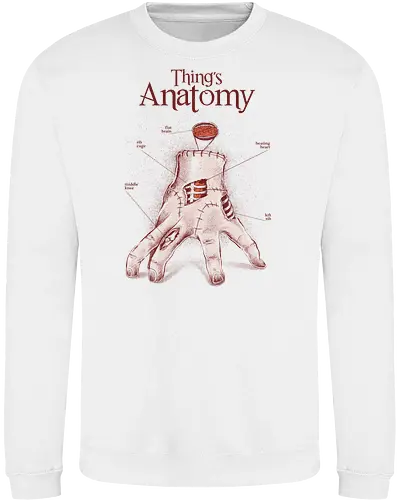 Thing's Anatomy