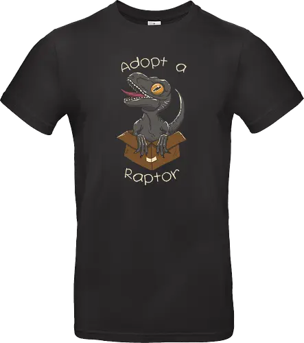 Adopt a raptor