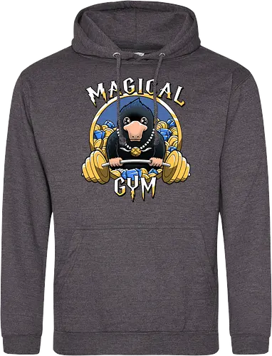 Magical Gym
