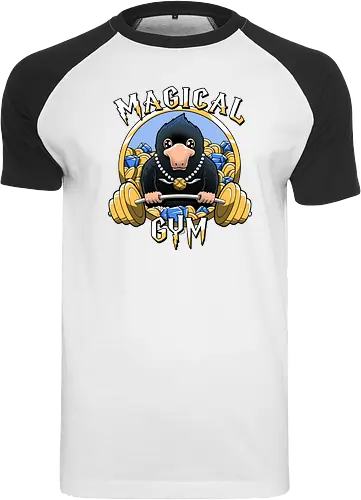 Magical Gym