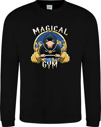 Magical Gym