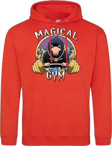 Magical Gym