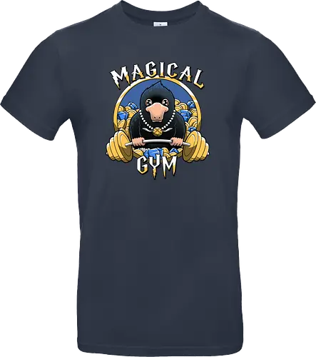 Magical Gym