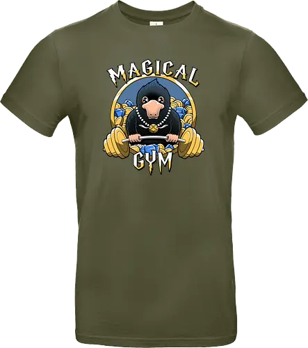 Magical Gym