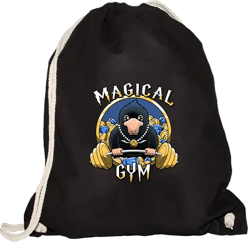 Magical Gym
