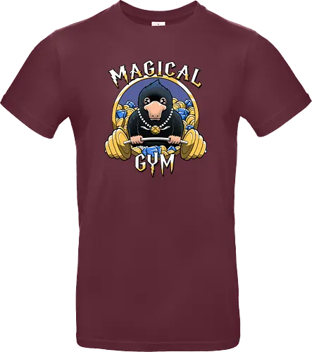Magical Gym