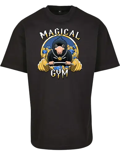 Magical Gym
