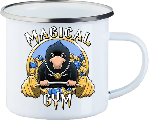 Magical Gym