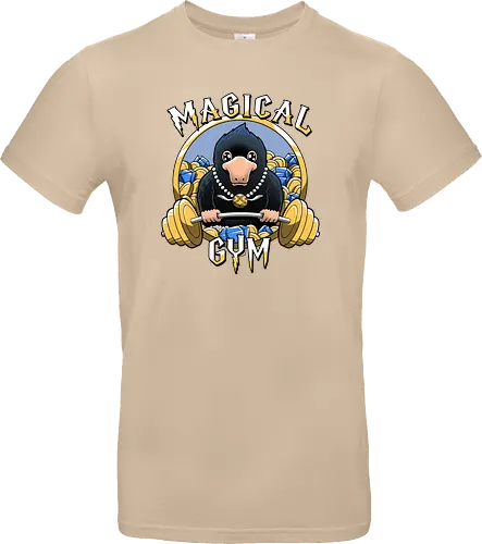 Magical Gym