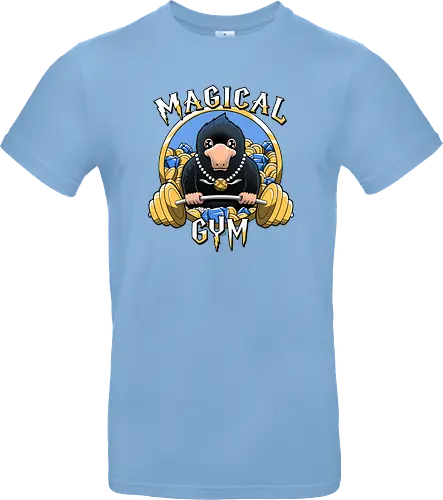 Magical Gym