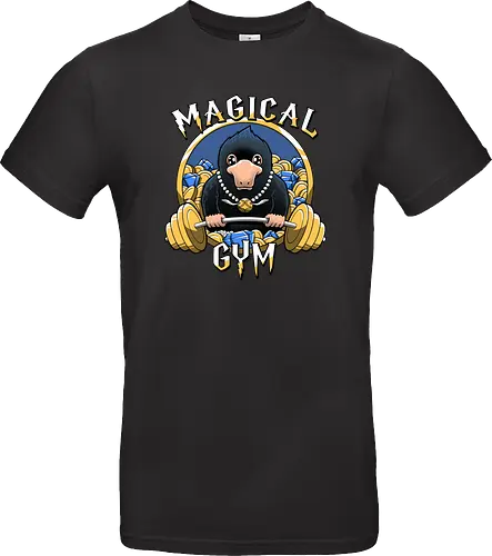 Magical Gym