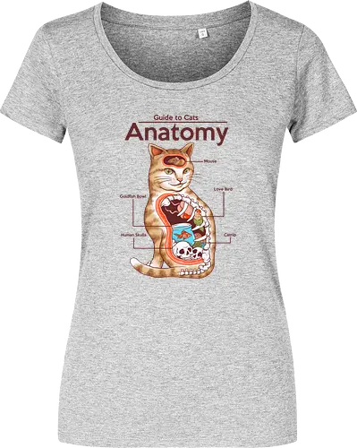 Anatomy of a Cat