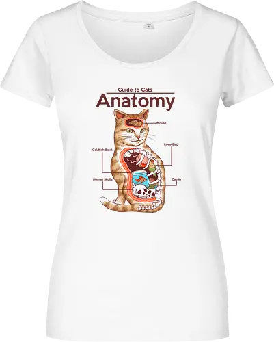 Anatomy of a Cat
