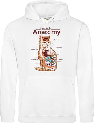 Anatomy of a Cat