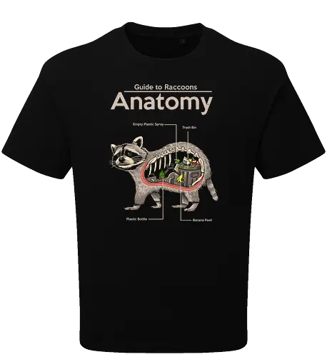 Anatomy of a Raccoon